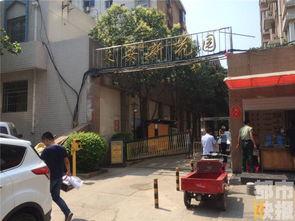 曹县小区吃瓜最新事件爆料,揭秘邻里纠纷背后的真相